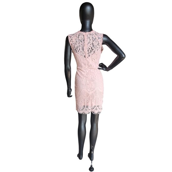 Pink Lace Illusion Sheath Dress - Picture 6 of 8